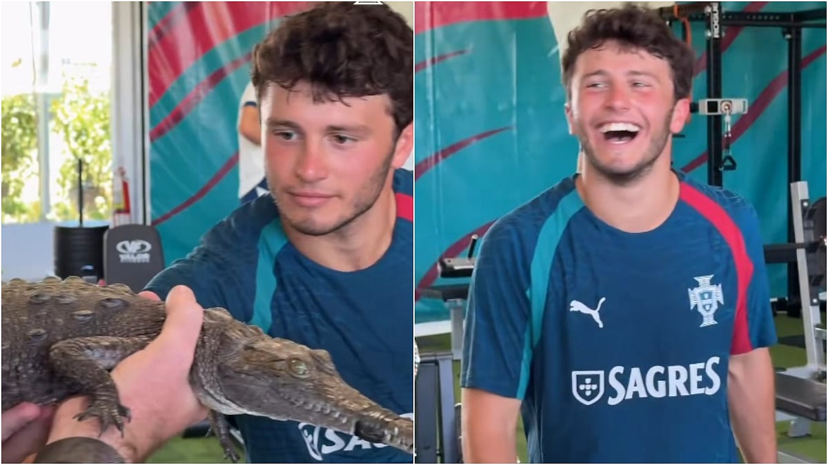Portugal Midfielder Joao Neves Plays With Crocodile, Viral VIDEO Shows Him Touching Its Belly Amid FIFA World Cup 2026