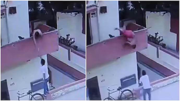 Man Falls From First-Floor Balcony While Trying To Buy Ice Cream In Uttar Pradesh's Sonbhadra; CCTV Footage Viral