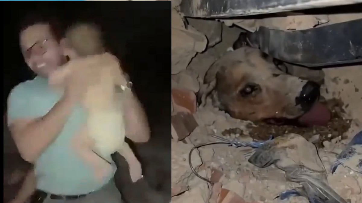 Venezuela Earthquake Rescue Efforts Bring Hope After Infant & Dog Pulled Out Unharmed From Rubble; Viral Video Leaves Internet Emotional - WATCH