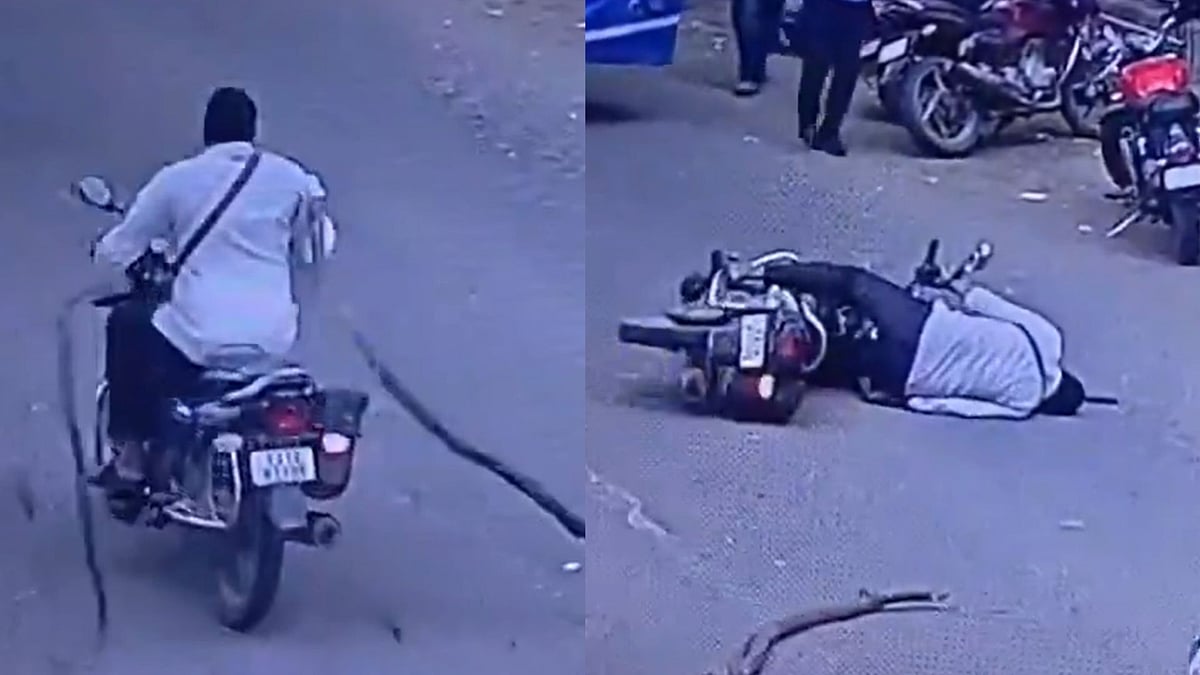 Bengaluru Man Slips Into Coma After Tree Branch Falls On His Head While Riding Motorcycle; CCTV Footage Viral