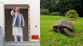 Modi to meet Jonathan, Seychelles giant tortoise named the world’s oldest land animal