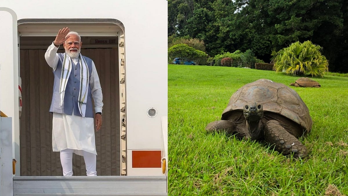 Who Is Jonathan? Meet the World's Oldest Living Land Animal Set to Welcome PM Narendra Modi During Seychelles Visit