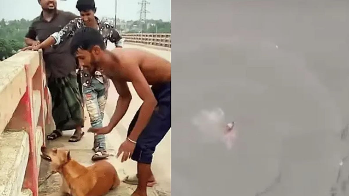 Bangladeshi Youth Arrested For Throwing Dog Into River With Brick Tied Around Its Neck; Heartbreaking Video Goes Viral