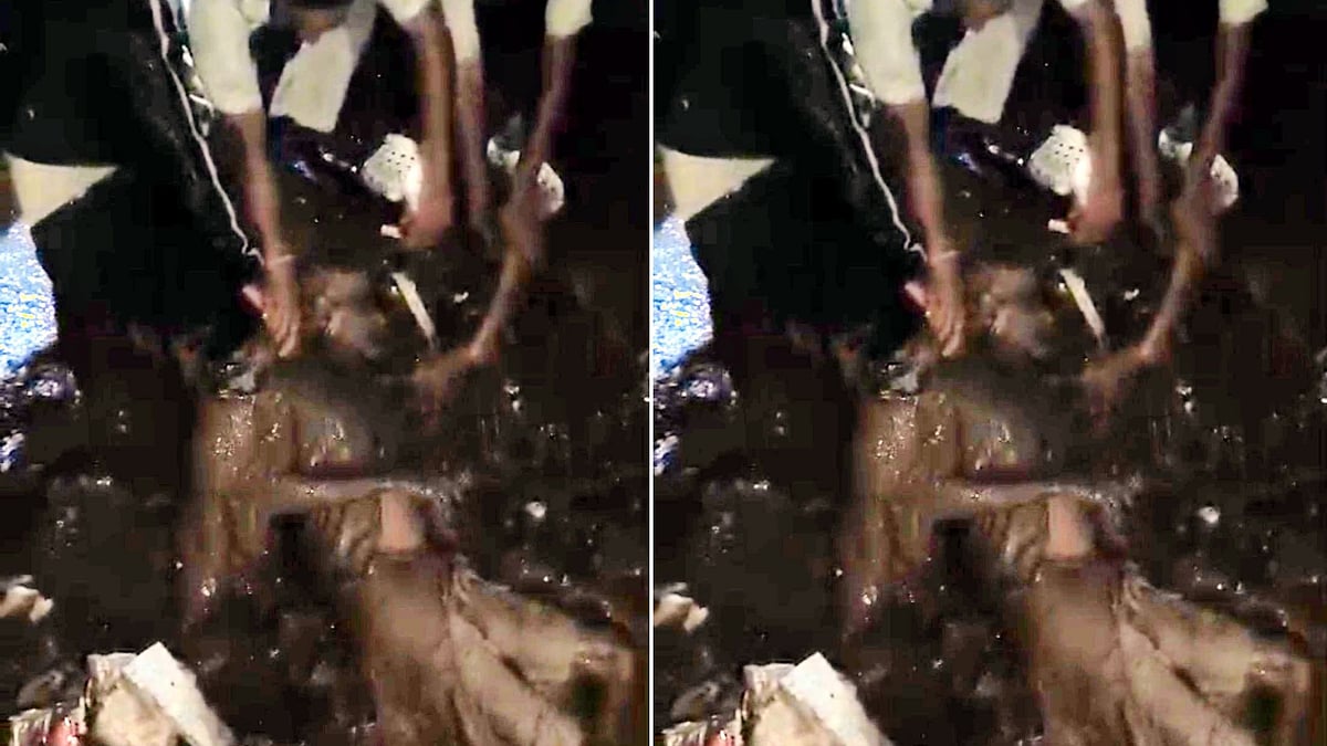 Elderly Man Rescued From Drowning In Drain By Cops On Night Patrol In Bhopal