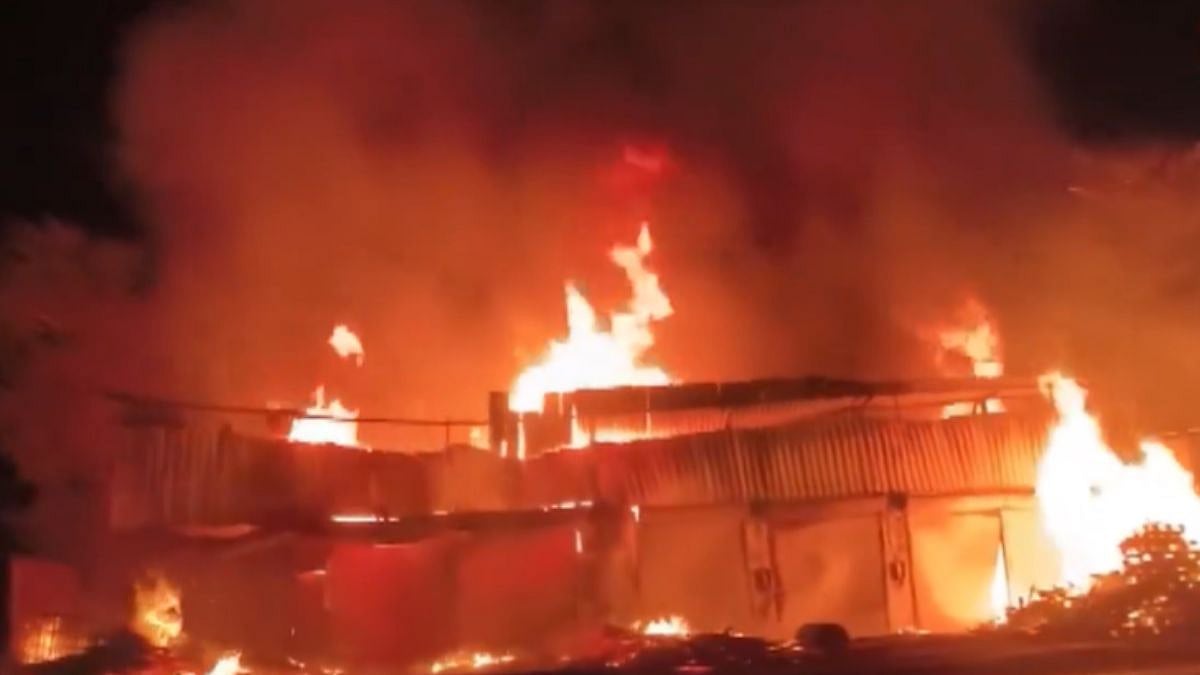 Bhiwandi Fire: Massive Blaze Erupts At Tyre & Wooden Pallet Warehouse On Mumbai-Nashik Highway; VIDEO