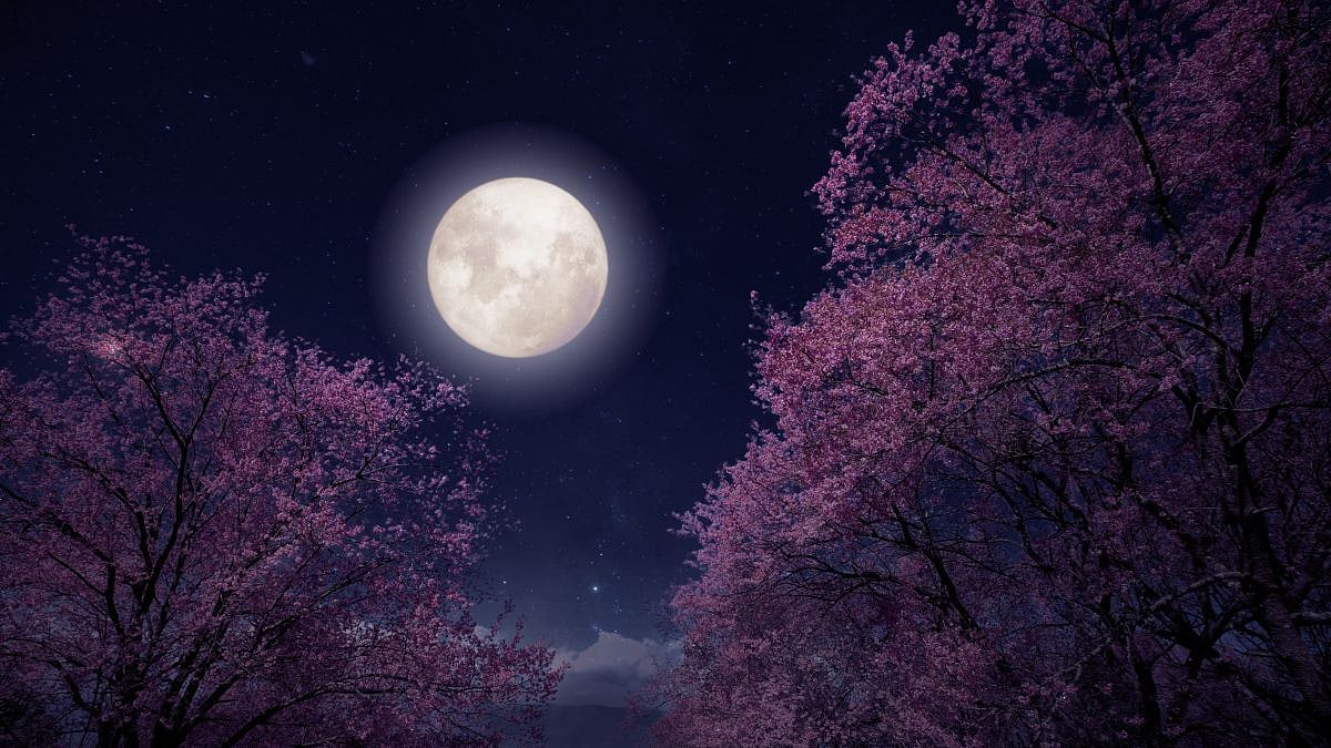 What Is Stawberry Moon? Know When & Where To Watch June Full Moon 2026 In India