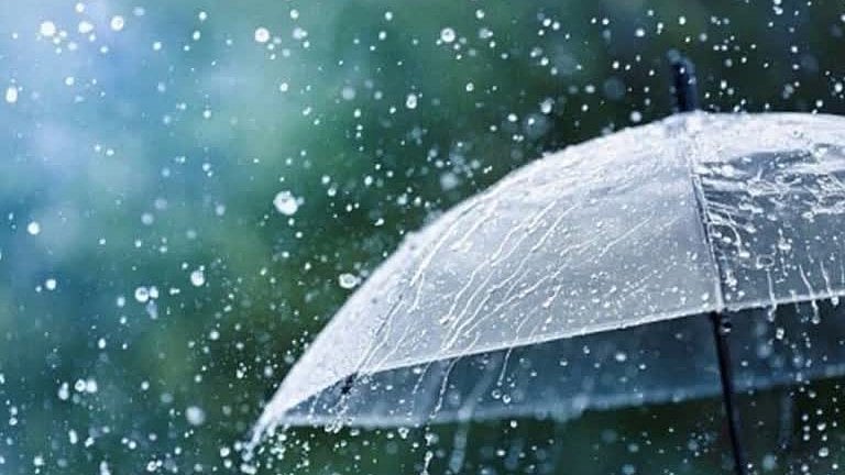 Madhya Pradesh June 29, 2026, Weather Update: Heavy Rain Alert For 6 Districts; Yellow Alert Issued For Bhopal, Indore & More