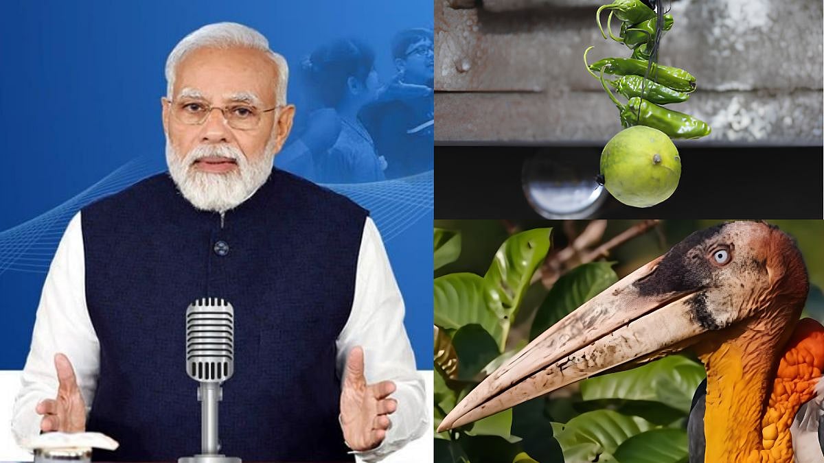 PM Narendra Modi Cites This 1000 Year Old Belief To Cause 'Great Harm' In 135th Mann Ki Baat Programme; Read More About It
