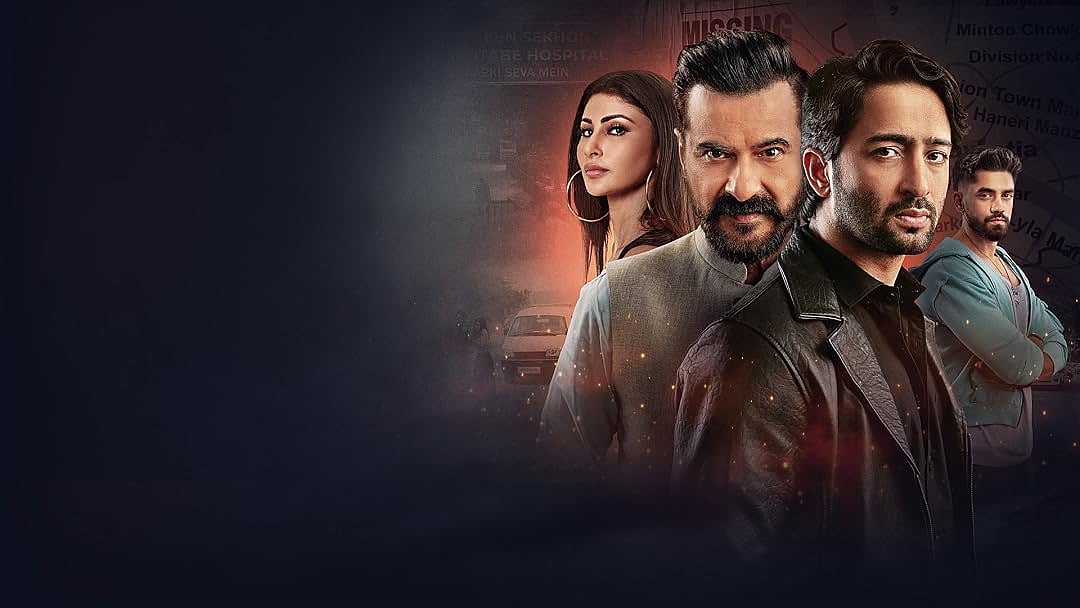 Ab Hoga Hisaab Season 2 OTT Release Date: When And Where To Watch Sanjay Kapoor, Shaheer Sheikh And Mouni Roy's Revenge Thriller Series?