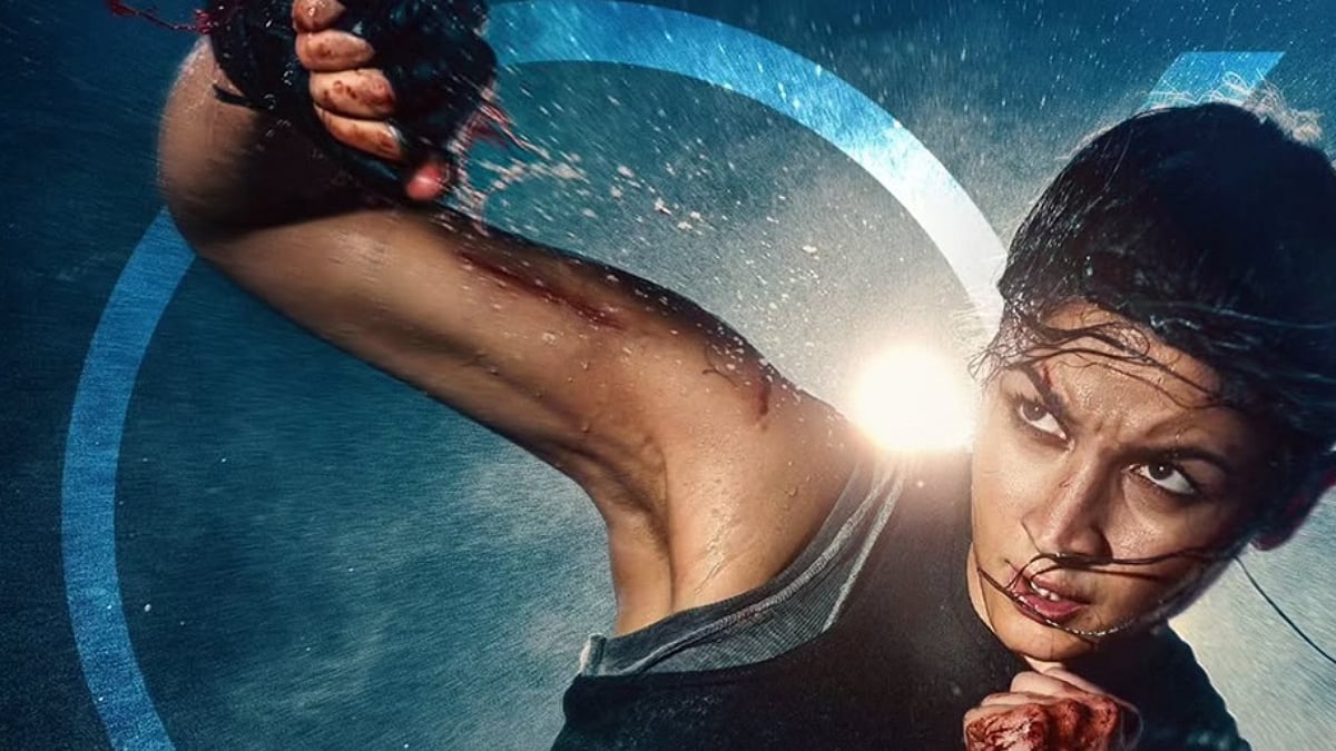 'Aisa Bahot Kuch Hai Jo Aapko Nahi Pata': Alia Bhatt Says They Haven't Revealed A Lot About Alpha - Watch Video