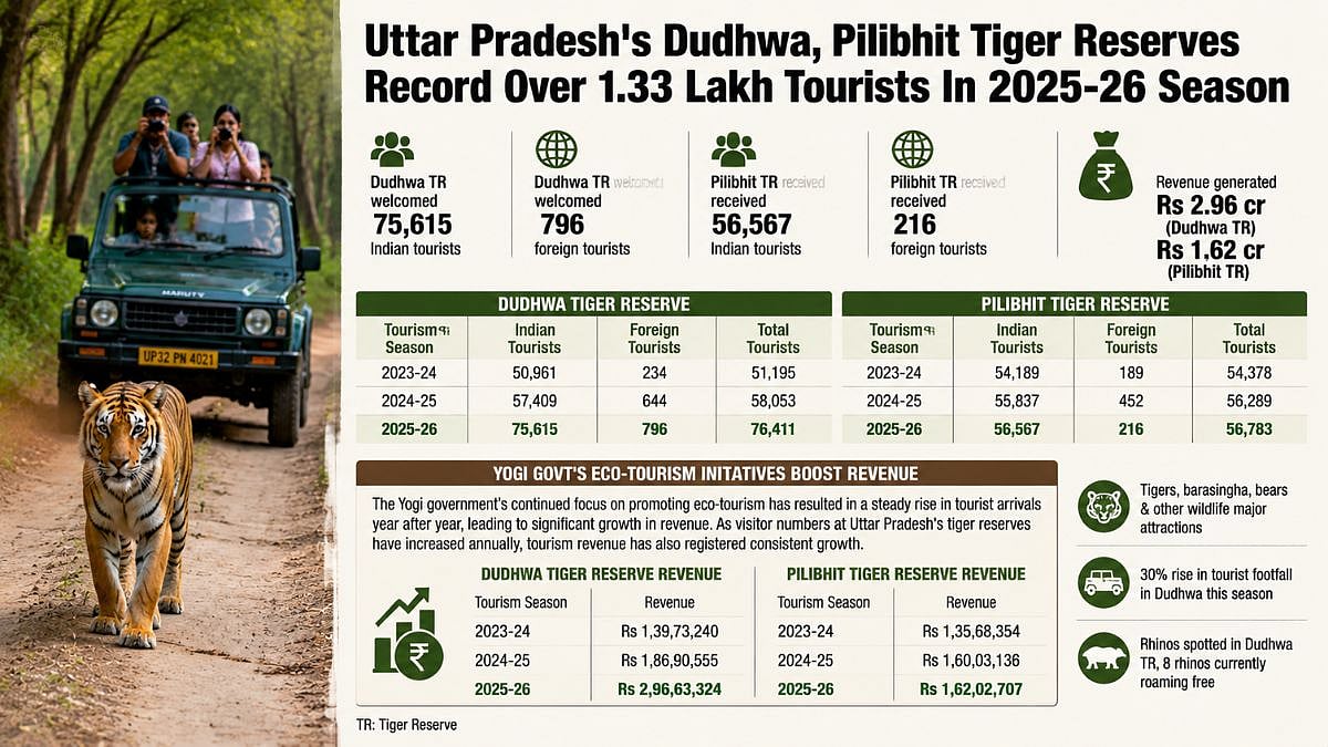 Uttar Pradesh's Dudhwa, Pilibhit Tiger Reserves Record Over 1.33 Lakh Tourists In 2025-26 Season