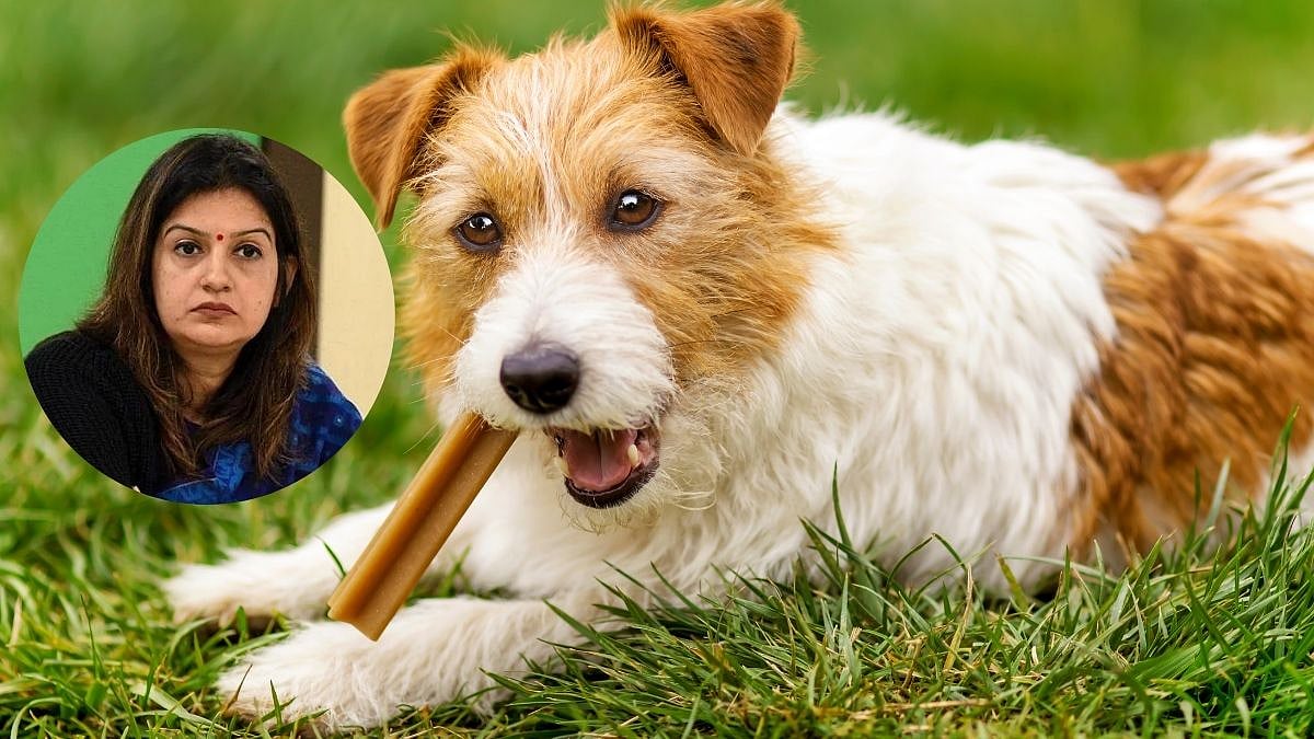 Pet Dog Killed After Biting Explosive-Laced Bait In Maharashtra’s Karjat; Sena UBT's Priyanka Chaturvedi Calls It 'Cruelty'