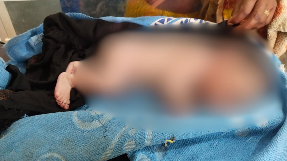Newborn Found Abandoned Roadside In MP's Shivpuri, Police Rescue Infant, Launch Probe To Trace Parents