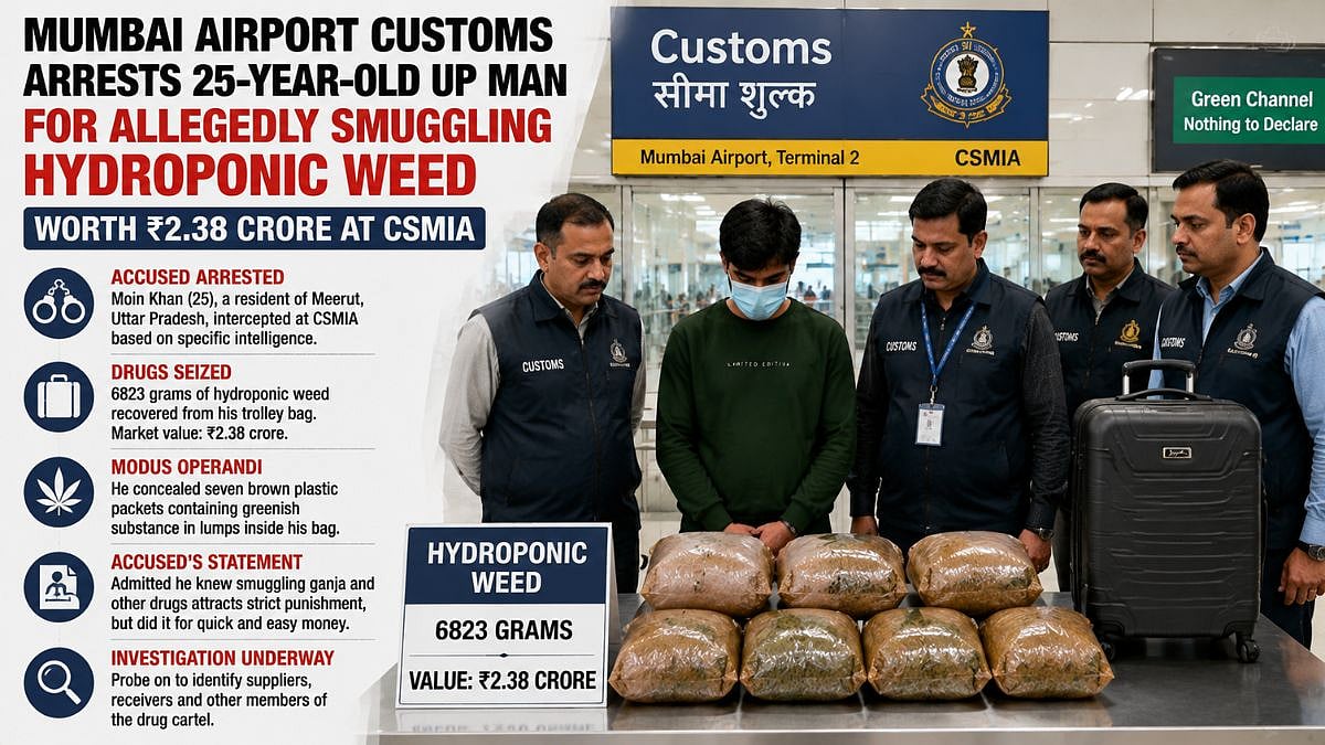 Mumbai Airport Customs Arrests 25-Year-Old UP Man For Allegedly Smuggling Hydroponic Weed Worth ₹2.38 Crore At CSMIA