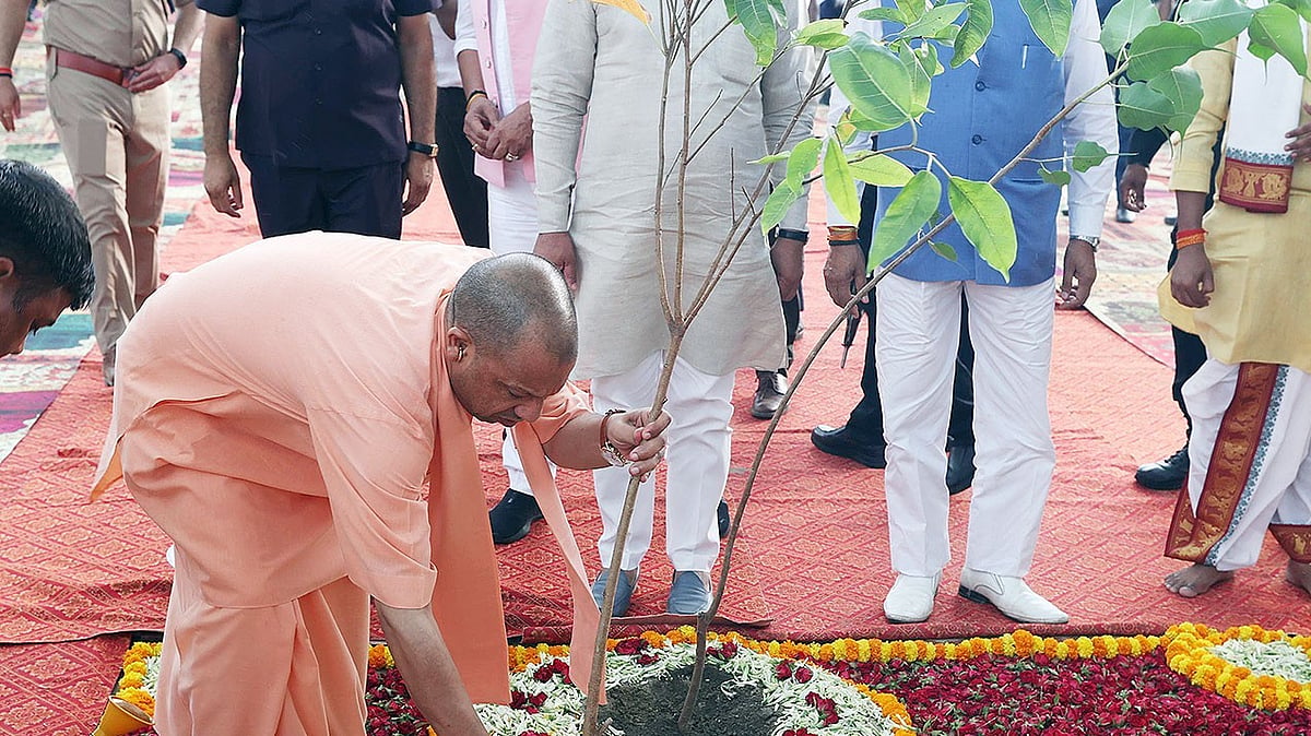 Uttar Pradesh: CM Yogi Govt To Organise Van Mahotsav From July 1, Launch ‘Aam Bahaar, Aapke Dwar’ Tree Plantation Drive