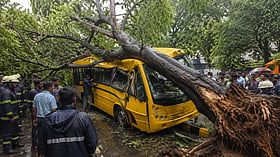 Peepal Tree Uprooted, Crashes Onto School Bus in Chembur; Student Dies, Others Injured