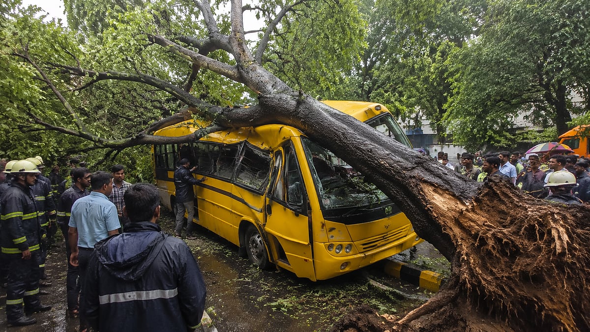 Mumbai School Bus Tragedy: 11-Year-Old Killed, Four Injured As Uprooted Peepal Tree Crashes Onto Vehicle In Chembur