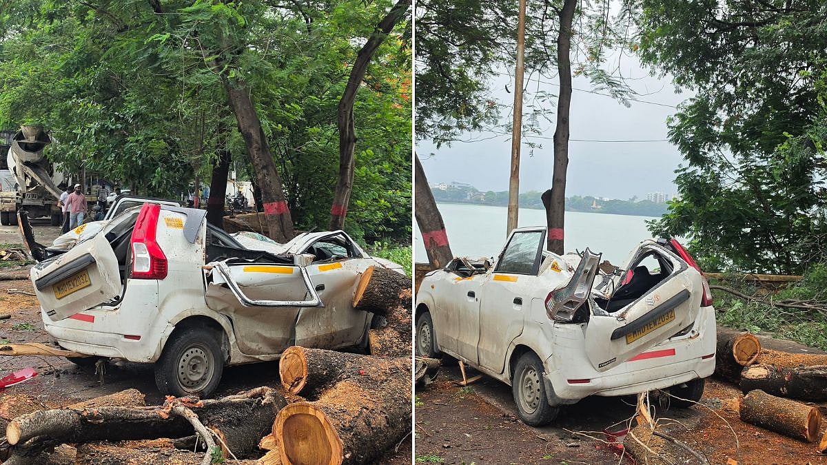 Bhiwandi: Huge Tree Uprooted During Rain Crushes Parked WagonR Near Varala Lake; Major Mishap Averted