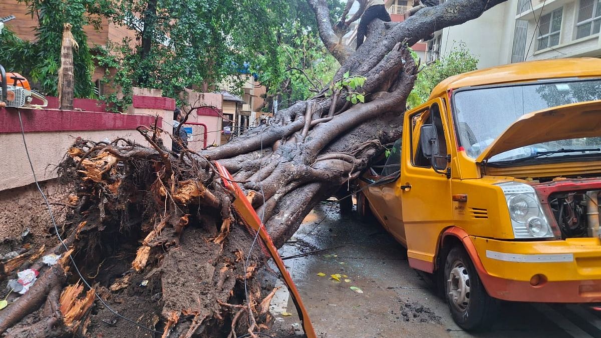 Mumbai Monsoon Mayhem: Uprooted Peepal Tree Crashes Onto School Bus In Chembur; 2 Students Trapped, Rescue Ops Underway | Video