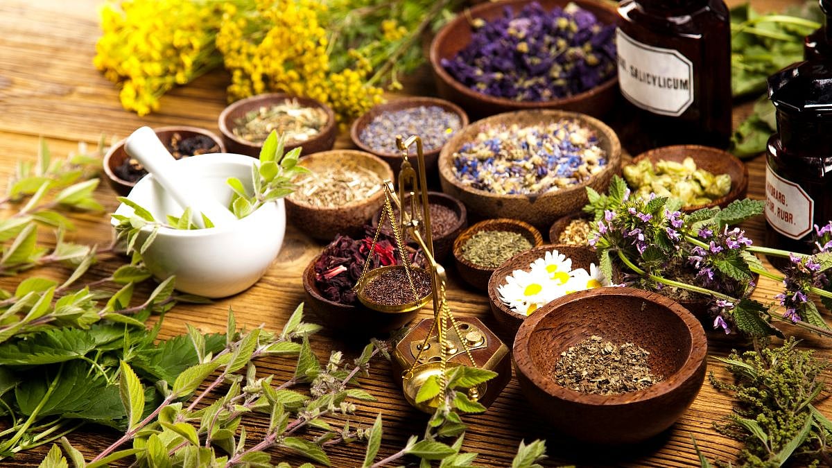 Van Mahotsav 2026: Exploring Ayurvedic Herbs & Spices Hidden In India's Forests