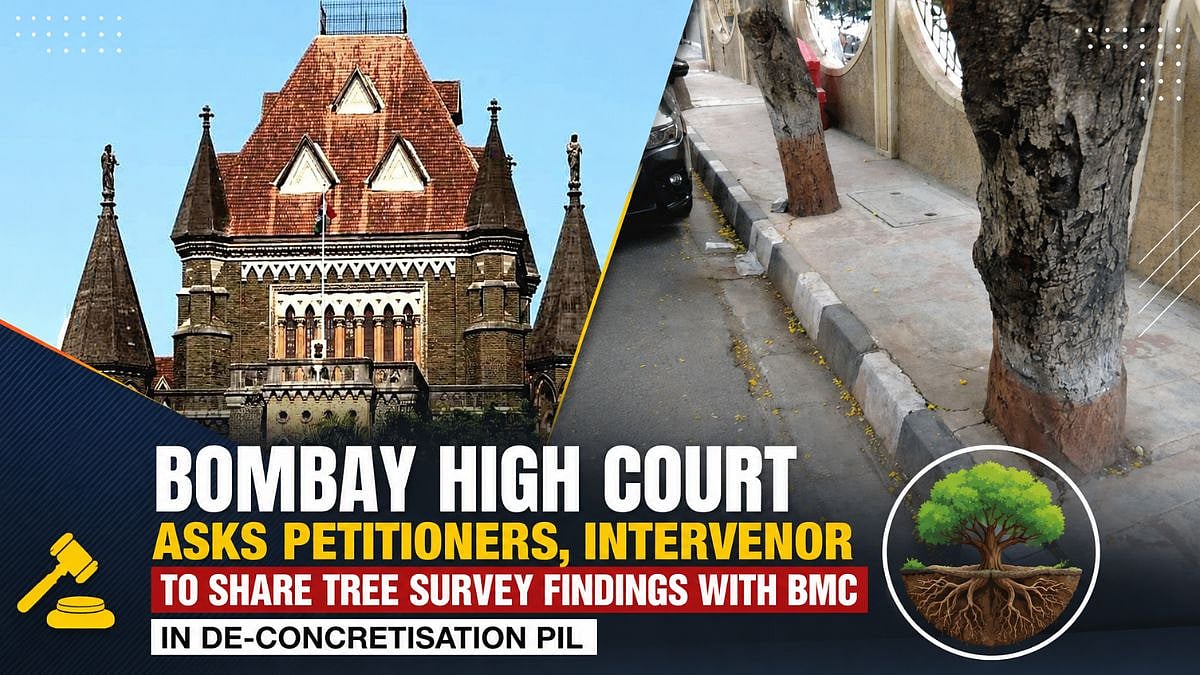 Bombay High Court Asks Petitioners, Intervenor To Share Tree Survey Findings With BMC In De-Concretisation PIL