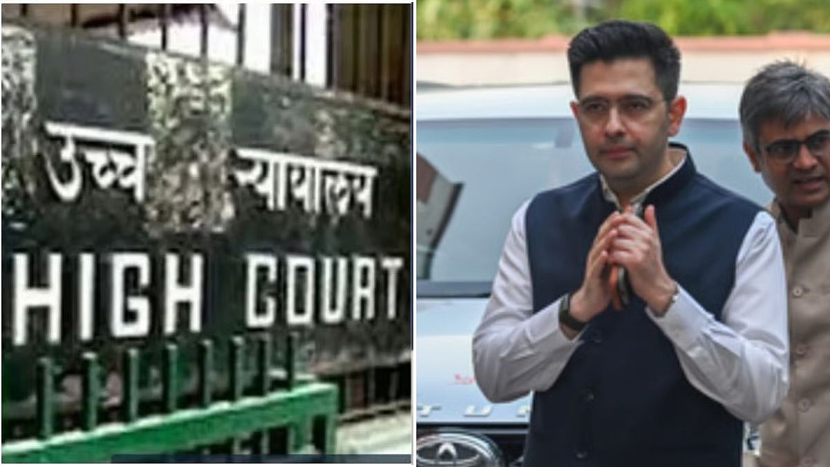 Delhi HC Orders Removal Of Select Defamatory Posts Against MP Raghav Chadha, Says Political Satire Is Not Defamation