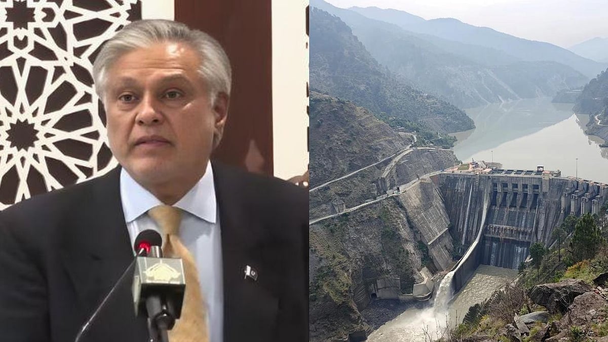 'Every World Order Will Collapse If Indus Waters Treaty Is Not Upheld': Pakistan Hosts Conference, Urges India To Restore Water Pact