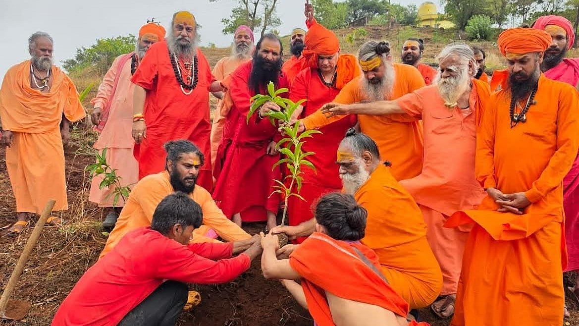 Nashik: 1,100 Trees To Be Planted On Nilgiri And Brahmagiri Hills Ahead Of Simhastha 2027