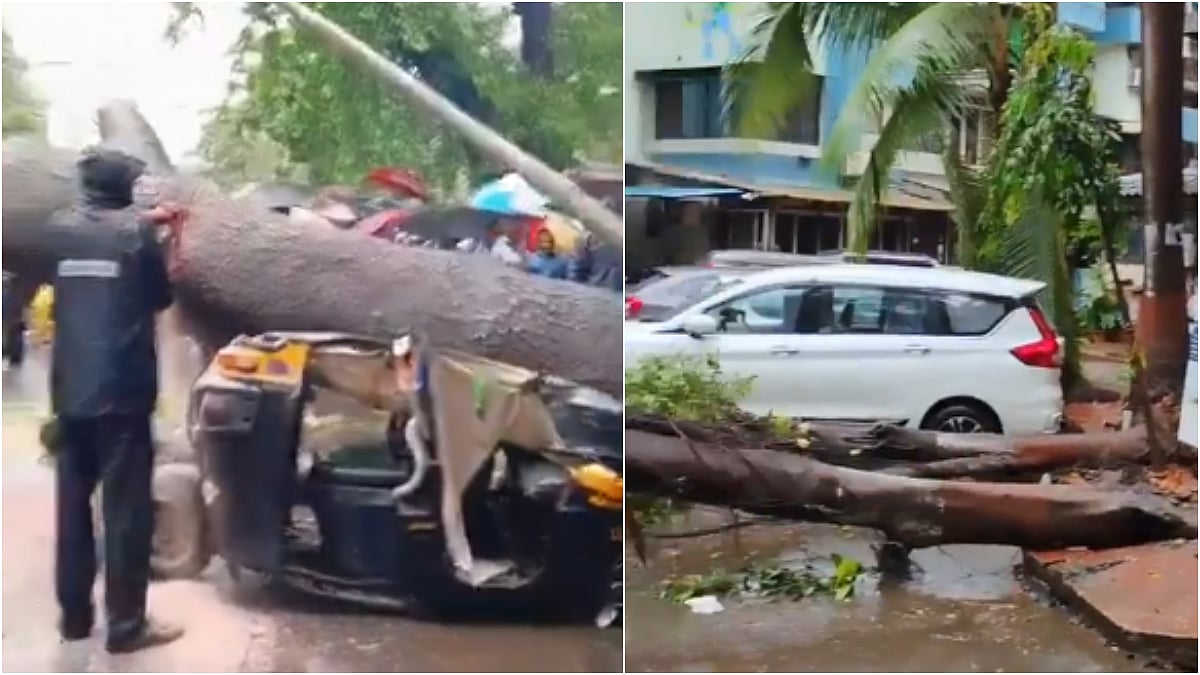 Mumbai Monsoon Mayhem: After Churchgate, Trees Collapse In Marol & Mira-Bhayandar Due To Heavy Rains; 3 Incidents Reported Since Morning