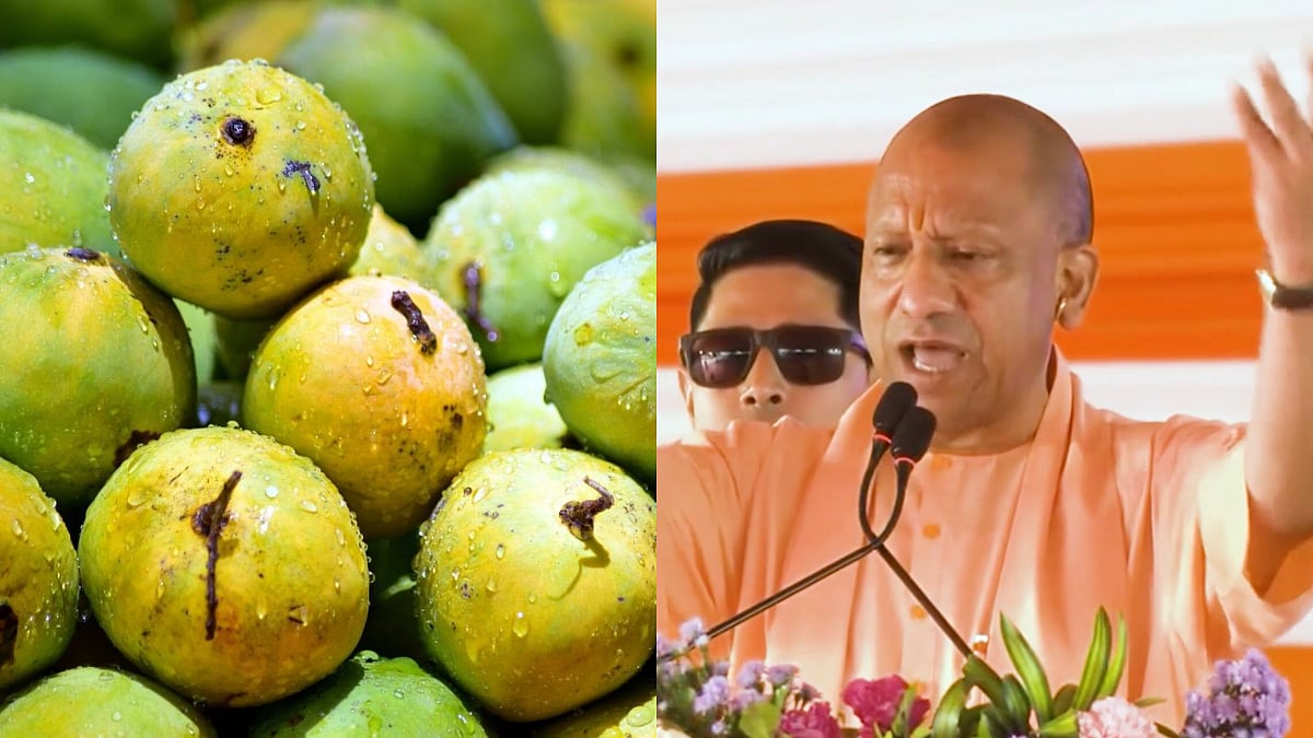 Uttar Pradesh Chief Minister Yogi Adityanath To Inaugurate Aam Mahotsav 2026 In Lucknow, Over 800 Mango Varieties To Be Showcased