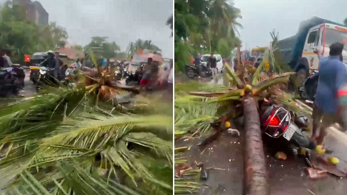 Mira Bhayandar Mourns As Coconut Tree Collapse Kills Ex-Deputy Mayor's Son Amid Monsoon Tree-Fall Crisis | Video