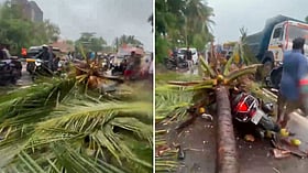 Former deputy mayor’s son dies after coconut tree falls on motorcycle in Mira-Bhayandar