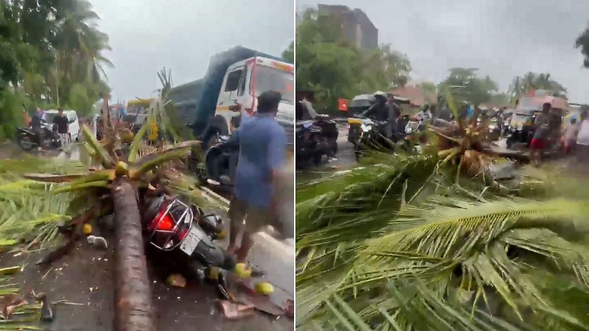 Heavy Rains & Strong Winds Kill Former Deputy Mayor’s Son After Coconut Tree Falls On Him In Mira-Bhayandar | Video