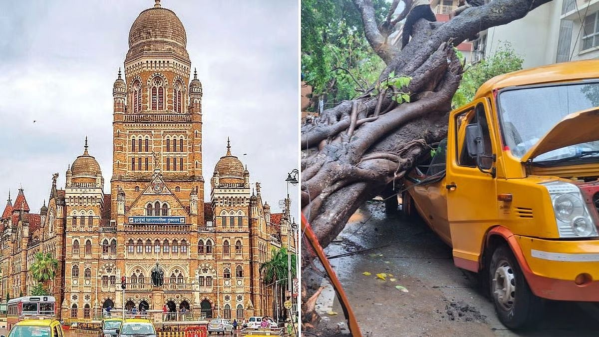 BMC Probe Into Chembur Tree Tragedy Sparks Blame Game Between Road And Garden Departments Over Negligence