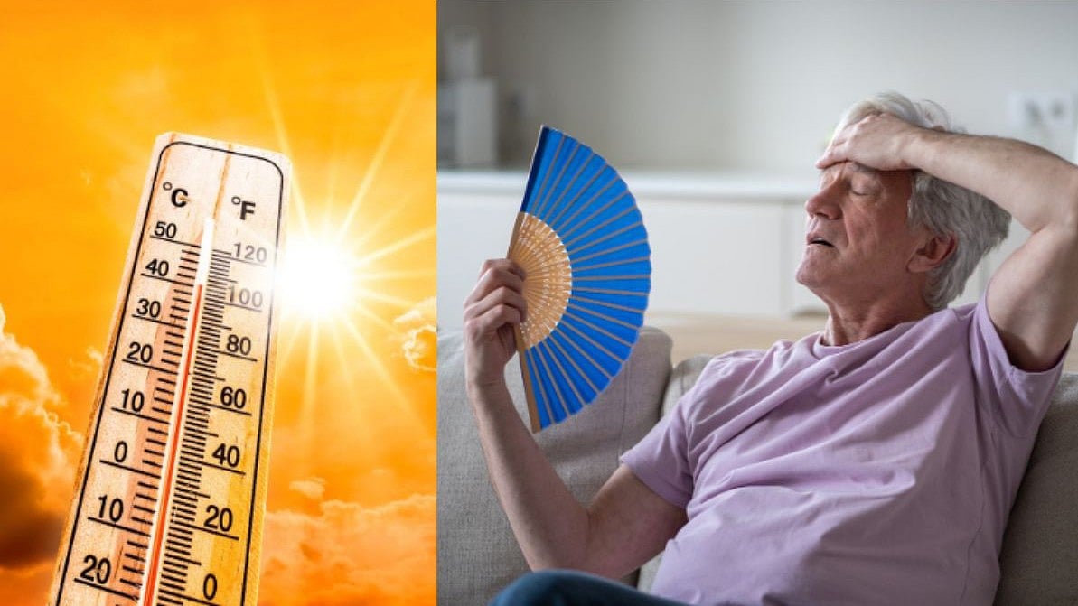 Europe Heat Wave Explained: Why Adults Are More At Risk Of Extreme And Deadly Heat? Here's The Reason 