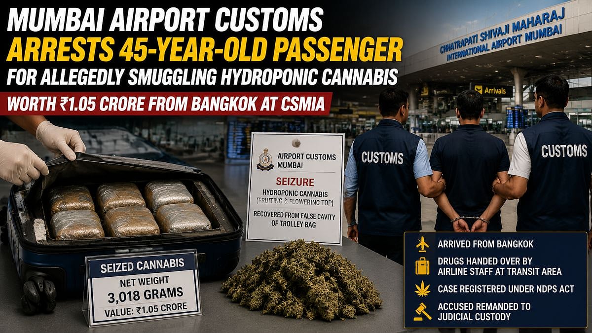Mumbai Airport Customs Arrests 45-Year-Old Passenger For Allegedly Smuggling Hydroponic Cannabis Worth ₹1.05 Crore From Bangkok At CSMIA