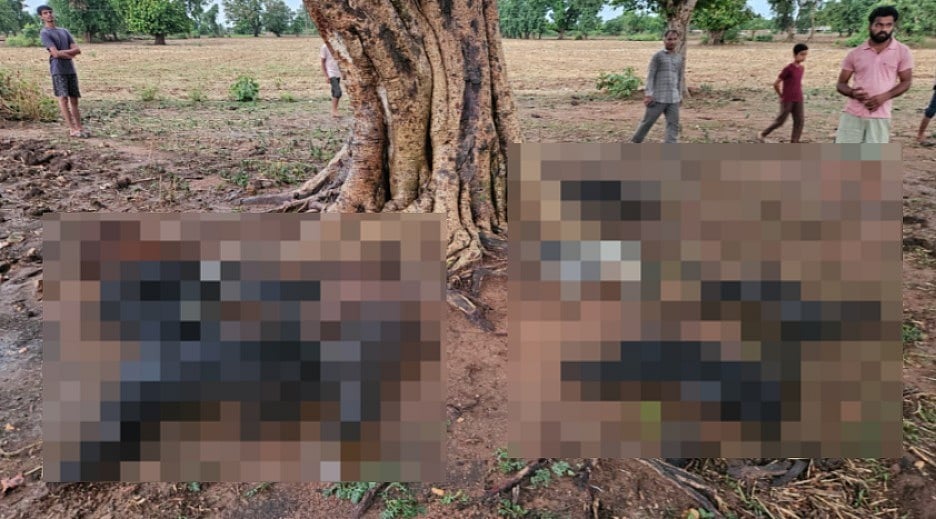 10 Goats Die On The Spot After Lightning Strike In MP's Chhatarpur, Family Appeals For Help