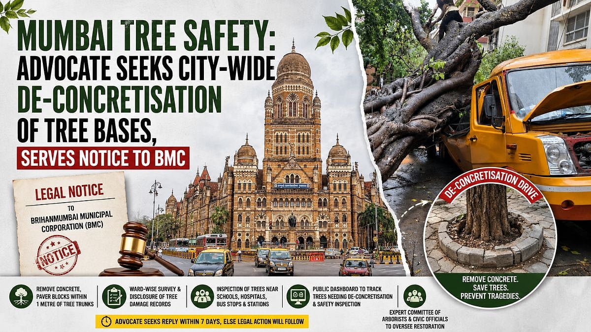Mumbai Tree Safety: Advocate Seeks City-Wide De-Concretisation Of Tree Bases, Serves Notice To BMC