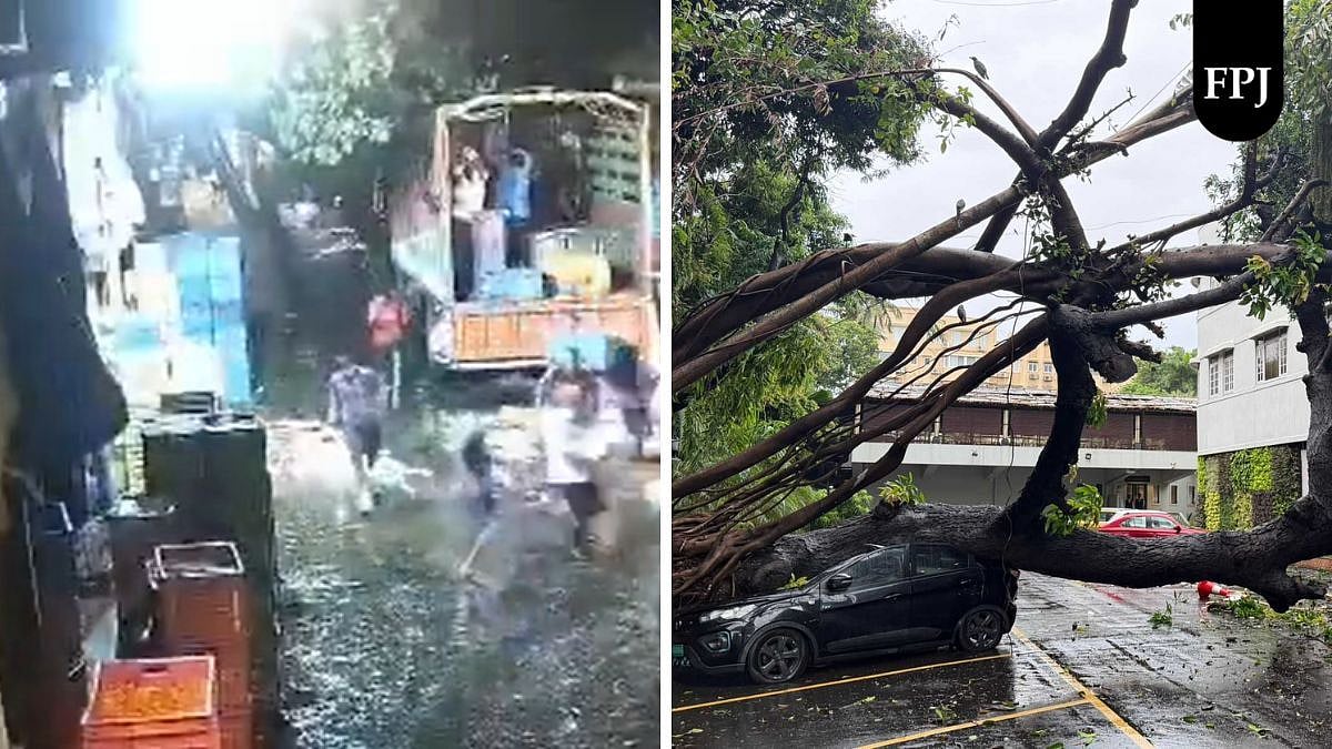 Mumbai Monsoon Mayhem: Massive Tree Falls Inside Dadar's Meenatai Thackeray Flower Market, 2 More Incidents Reported In SoBo; VIDEO