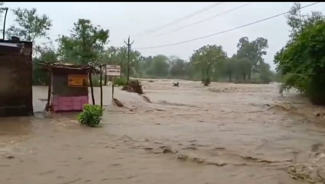 206 mm Rain Floods MP's Sendhwa; First Monsoon Downpour Waterlogs Chhatarpur Roads-- VIDEO