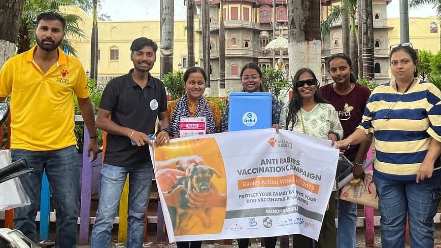 Monday Kickstarts Anti-Rabies Drive For 10K Dogs Across Indore