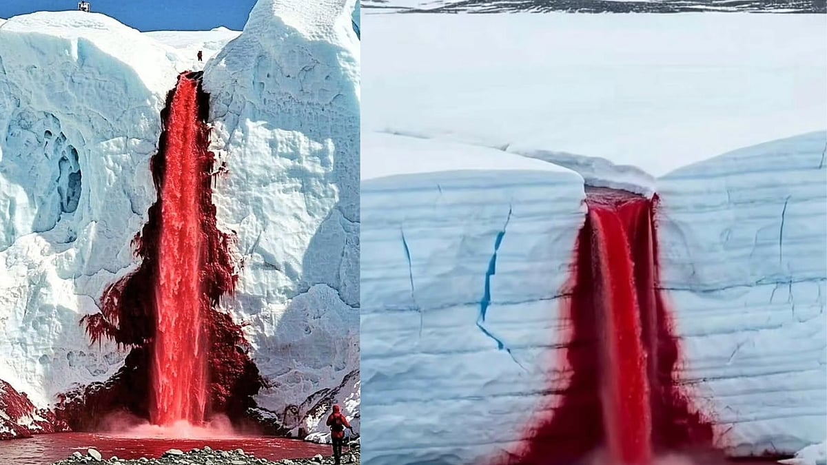 Why Is Antarctica's Blood Falls Red? Here's The Science Behind The Mysterious Phenomenon