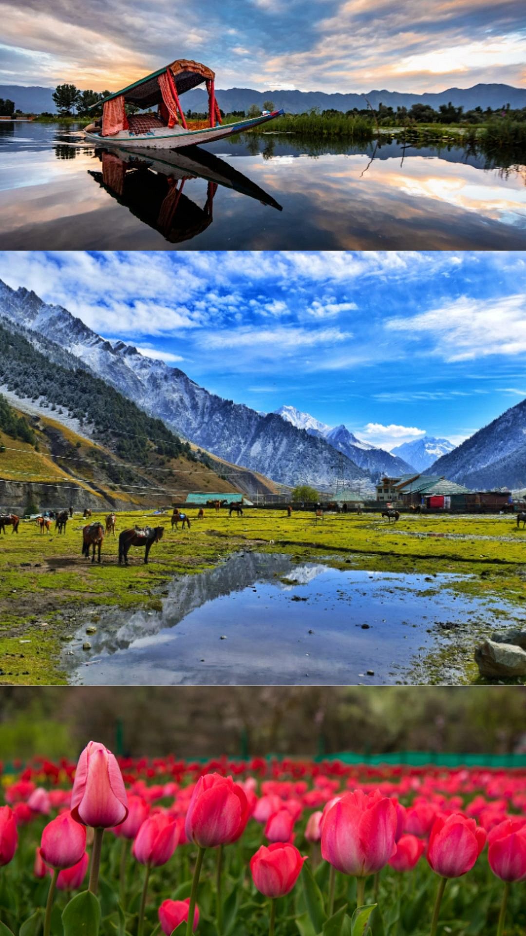 Visiting Amarnath? Add These Breathtaking Jammu & Kashmir Destinations To Your Itinerary
