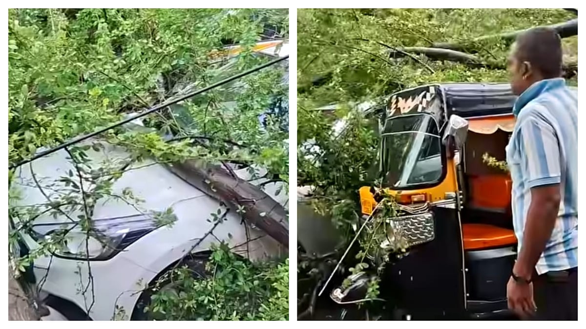 Pune: Massive Tree Crashes onto Parked Vehicles At Wakdewadi, Trapping Occupant And Causing Extensive Damage