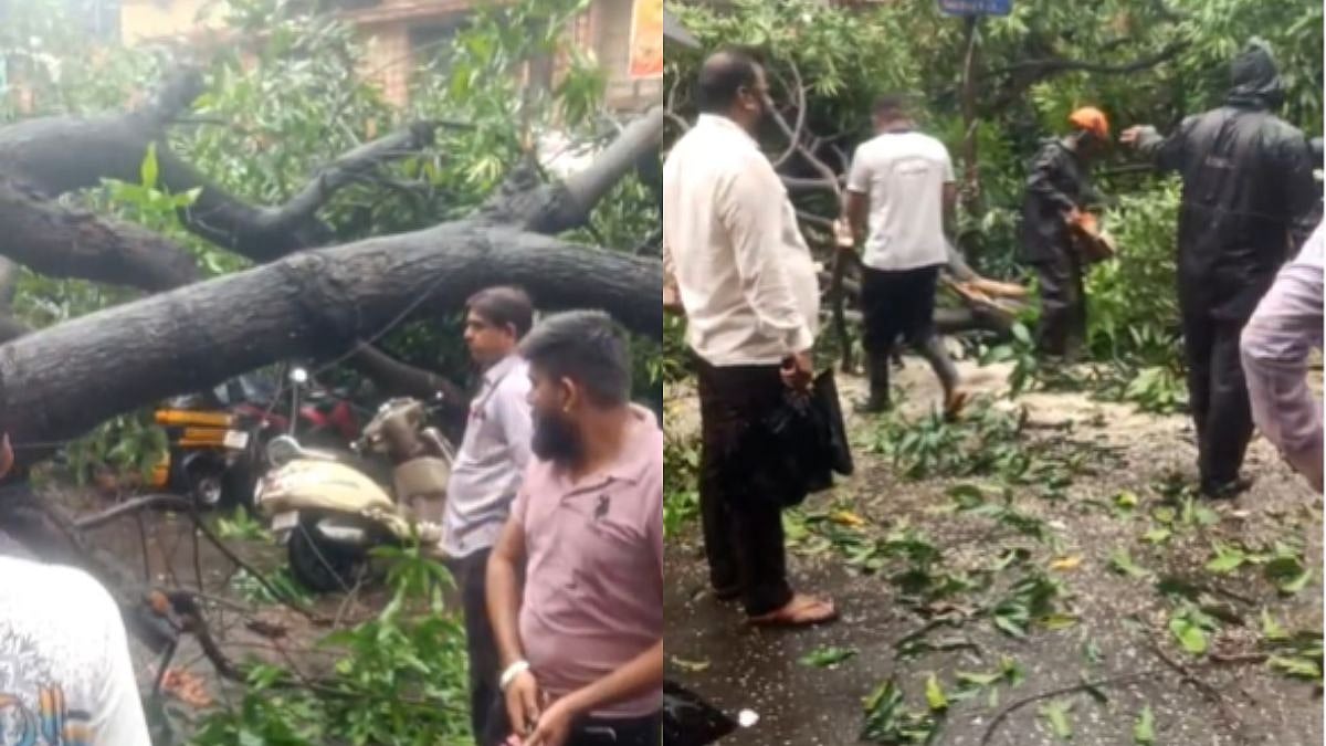 Navi Mumbai Rains: Tree Falls On Autorickshaw In Nerul Amid Intense Rainfall; Two Rescued