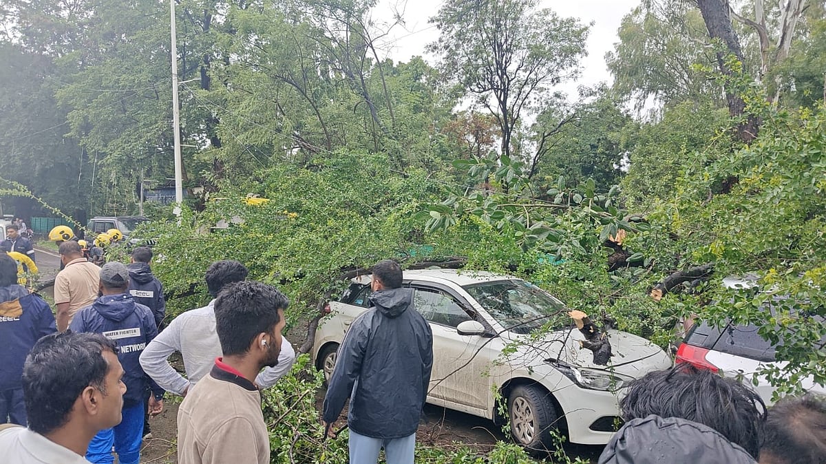 Shocking: Pune & Pimpri-Chinchwad Report Over 100 Tree Fall Incidents As Heavy Rain Batters Region