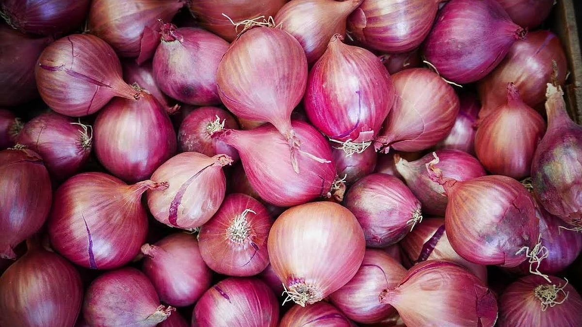 Nashik: No Onion Shortage Expected As Stocks Remain Adequate, Says HPEA