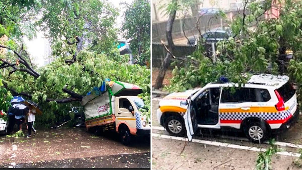 Heavy Rain Uproots Five Trees In Matunga And King's Circle, Crushing Vehicles; No Injuries Reported