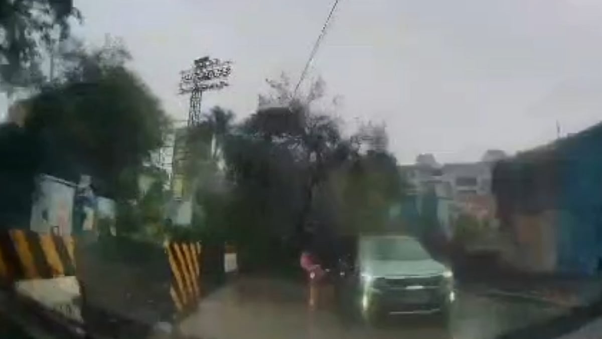 WATCH: Tree Falls Onto Elderly Man Riding Scooter In Pune's Pimple Saudagar, Leaves Him Seriously Injured