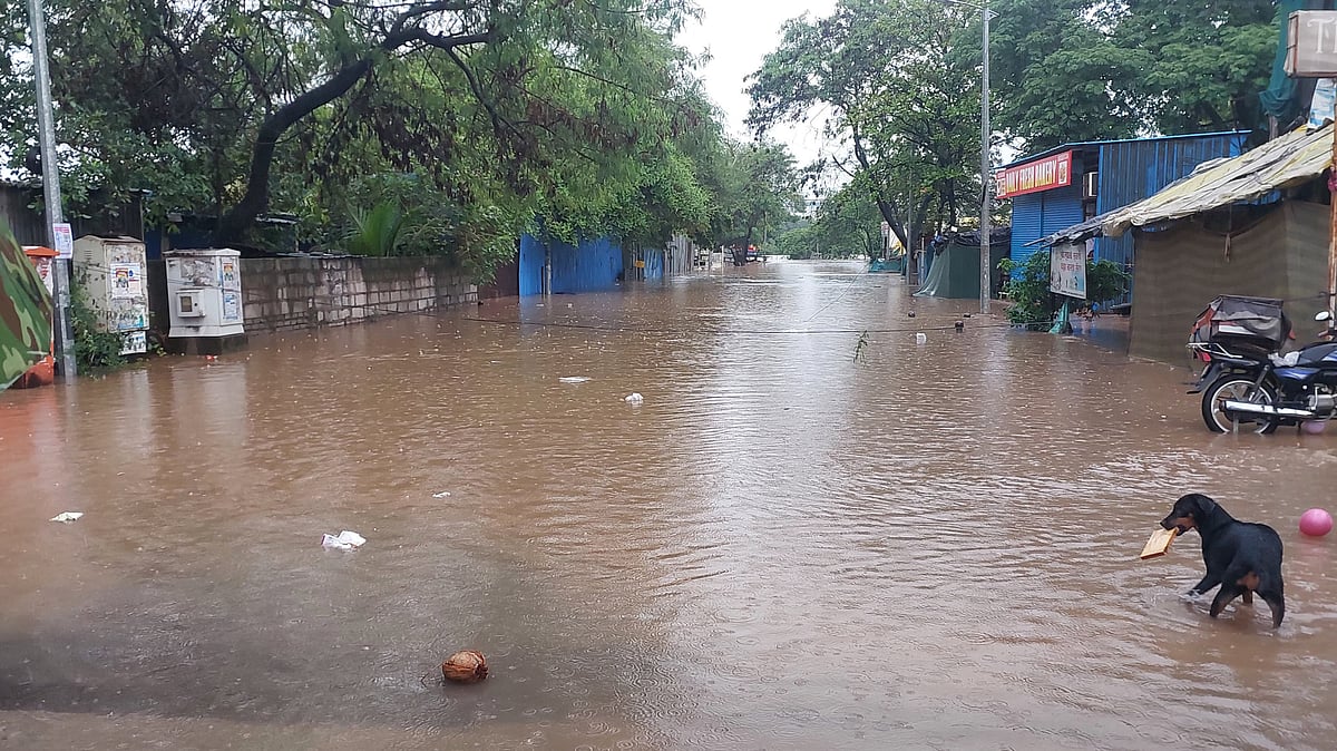 Pune Rains: Flood Threat Grows In Pimpri...